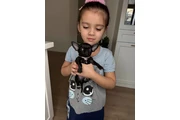 $250 : Chihuahua mini puppies thumbnail