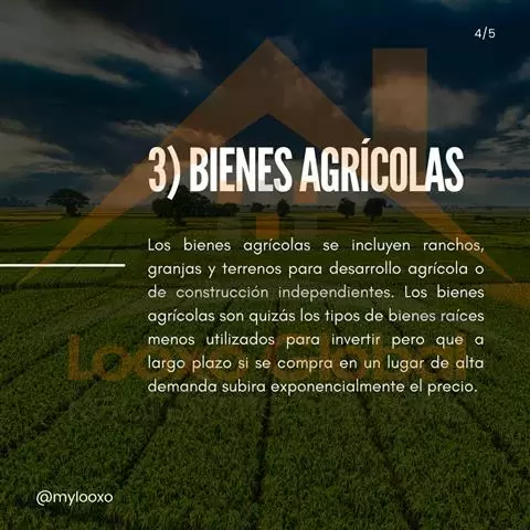TIPOS DE BIENES RAÍCES image 4