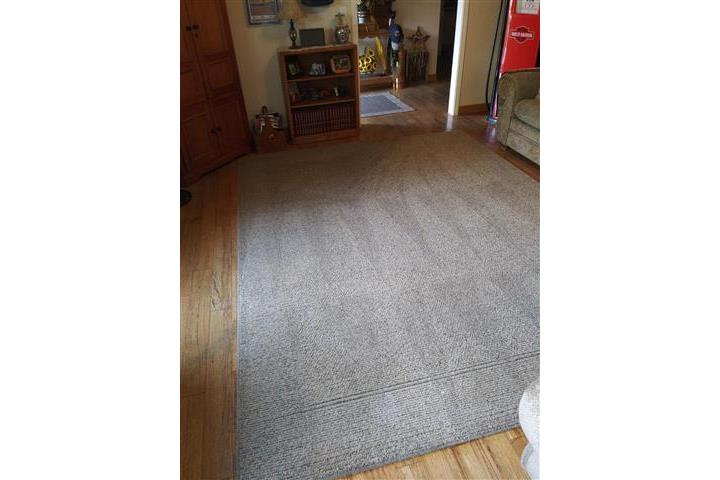 Limpieza de Carpetas Alfombras image 6