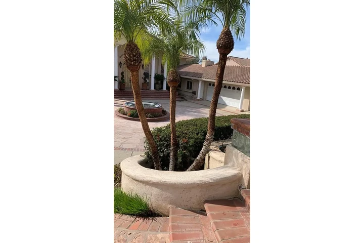 Lorenzo's Tree Services image 10