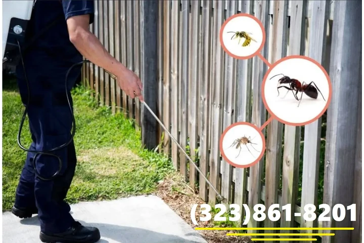 FUMIGACIONES - EXTERMINADORES image 2