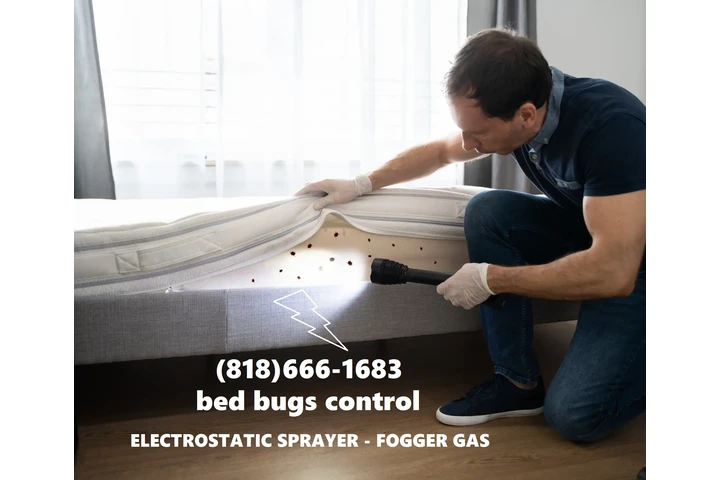 FUMIGACIONES CHINCHES-BED BUGS image 1