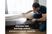 FUMIGACIONES CHINCHES-BED BUGS en Los Angeles