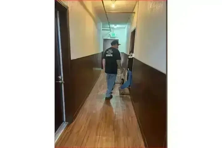 SERVICIO DE MUDANZA CONFIABLE image 2