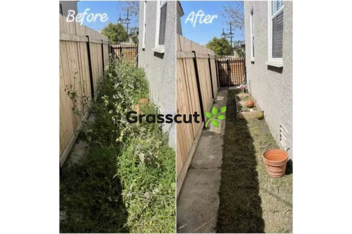 Grasscut weeds shrubs 🏡📲🌴 image 2