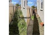Grasscut weeds shrubs 🏡📲🌴 thumbnail