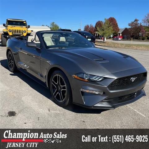 Used 2022 Mustang EcoBoost Pr image 7