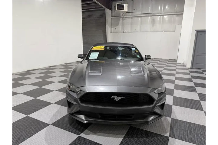 $24099 : Mustang 2023 image 2