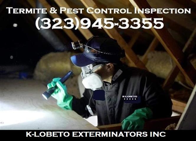 PEST CONTROL MAYWOOD - 24/7 image 10