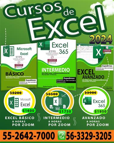 Clases de Excel a domicilio image 10