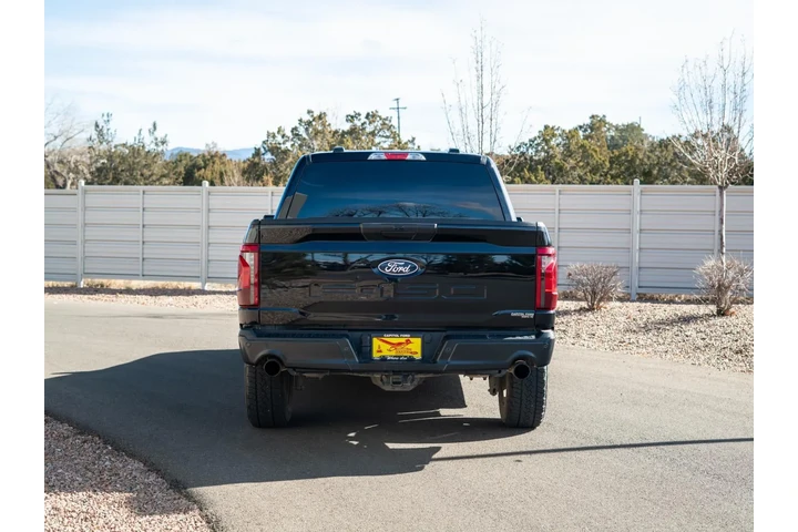 2025 F-150 STX image 5