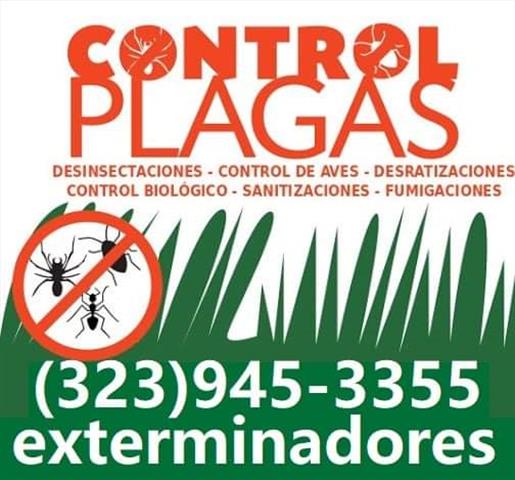 Exterminadores Comerciales 24h image 2