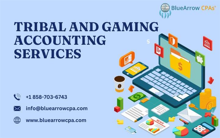 Tribal and Gaming Accounting image 1