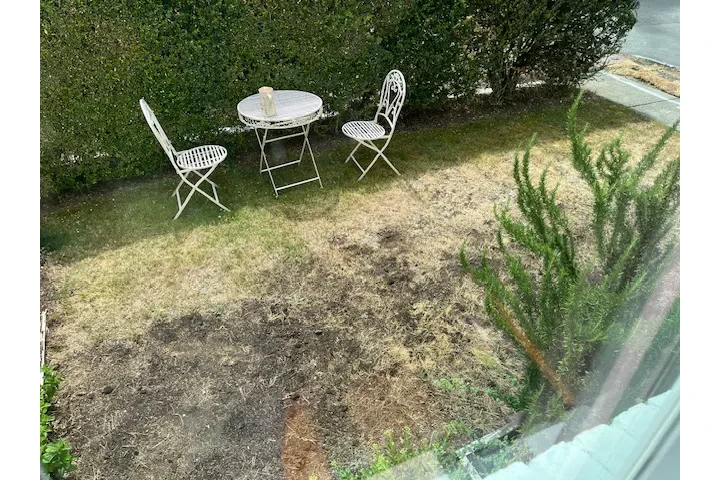 Jardinero experto en cesped image 1