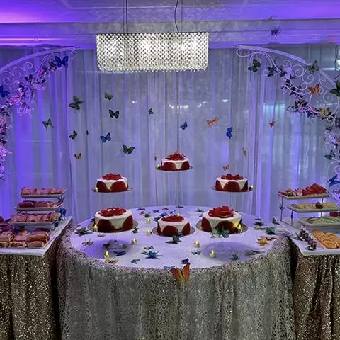 SALÓN DE FIESTAS image 4