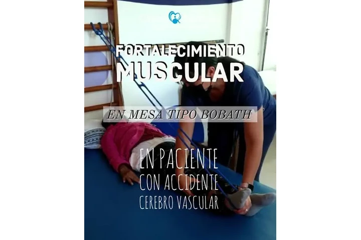 TERAPIA FISICA NEUROLOGICA image 9
