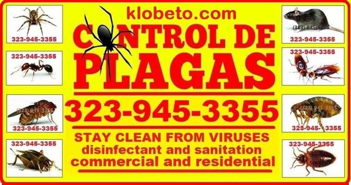 Pest Exterminator 24/7 all L.A image 4