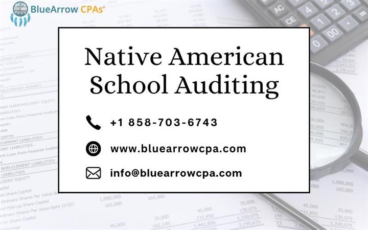 Native American School Audit image 1