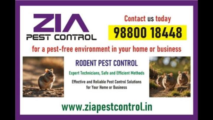 Zia Pest Control | Rat Mice an image 1