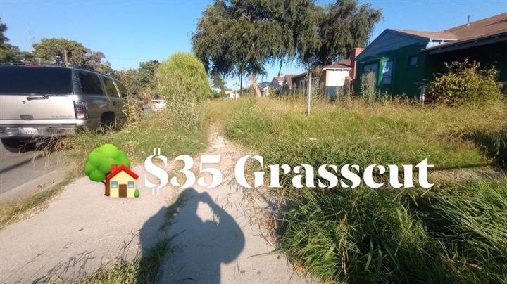 Grasscut 🌿👷🏻🏡 $35 image 5