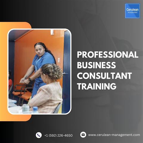 Business Consultant Training image 1