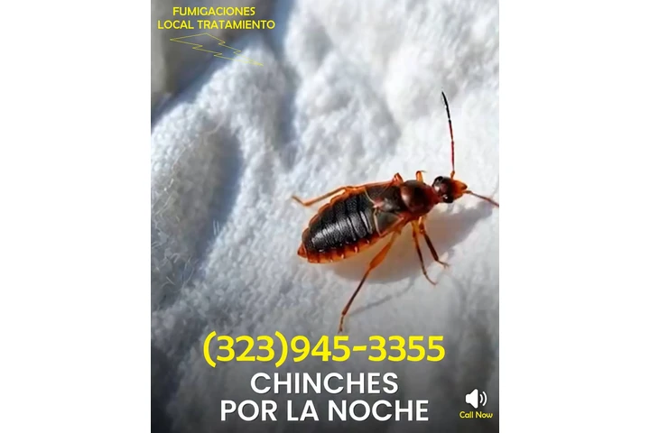 " TERMITE & PEST CONTROL.L.A." image 10