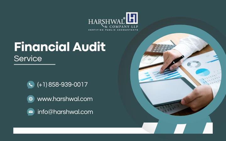 Advance financial audit image 1