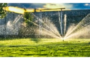 Garden & Landscape Maintenance thumbnail
