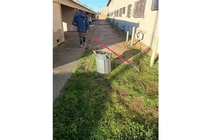 CANALEZ GARDENING SERVICES image 5