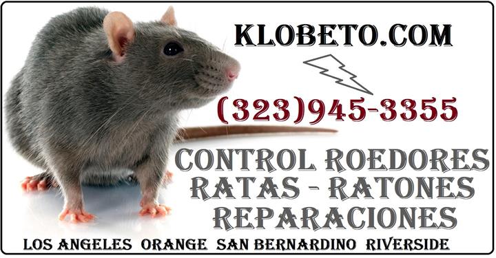 RODENT CONTROL (323)945-3355 image 6