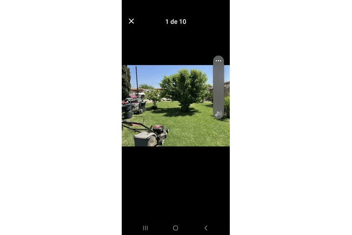 limpieza y corte de tu yarda image 4