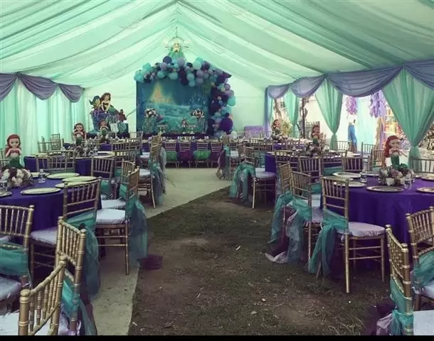 REMATA PARTY RENTALS image 4