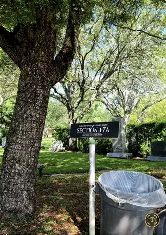 TERRENO MONUMENTO CABALLERO image 3