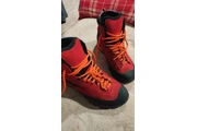 Zapatos de podar arboles en Los Angeles