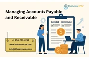 Managing AP and AR | BAI