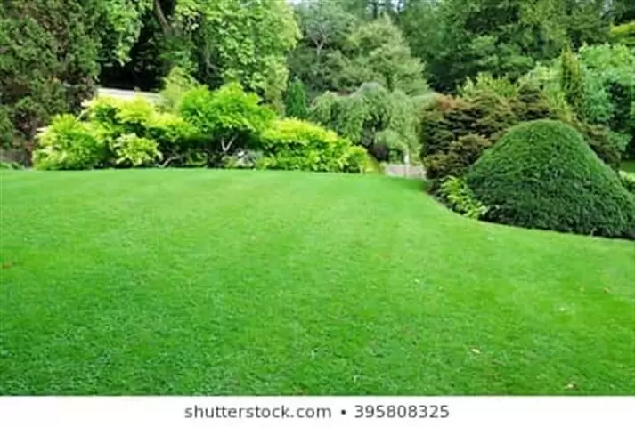 Elacios Gardening & Lanscapin image 4