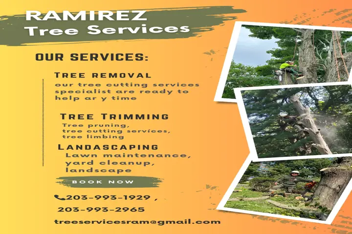 Ramirez Tree Services image 2