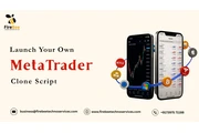 MetaTrader Clone Script en Fort Lauderdale