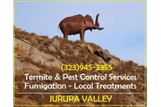PEST CONTROL SERVICES L.A.- thumbnail