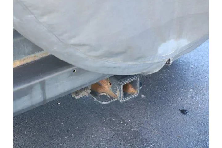 $13575 : Jeep Wrangler Unlimited 2012 image 6