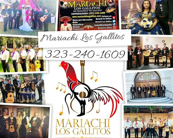 Mariachi Los Gallitos image 1