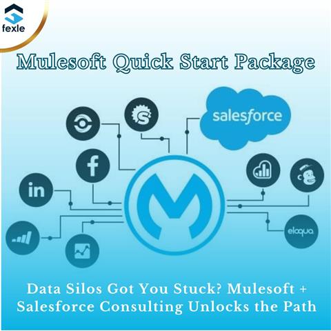 MuleSoft Quick Start Package image 1