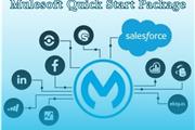 MuleSoft Quick Start Package