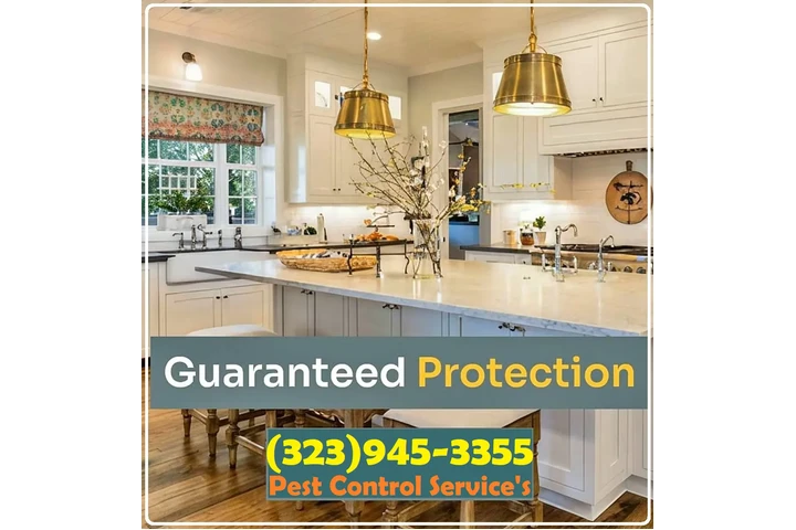 PEST CONTROL SERVICES 24/7.- image 9