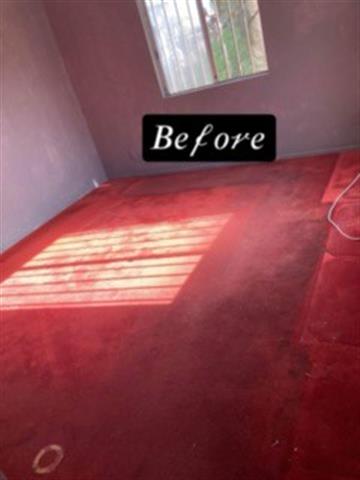 CARPET CLEANING EDWIN image 4