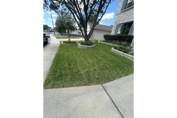 🌿 Lawn Care & Landscaping 🌿 image 2