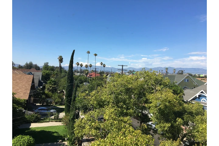 $1395 : SINGLE  FULLY RENOVATED APT image 2