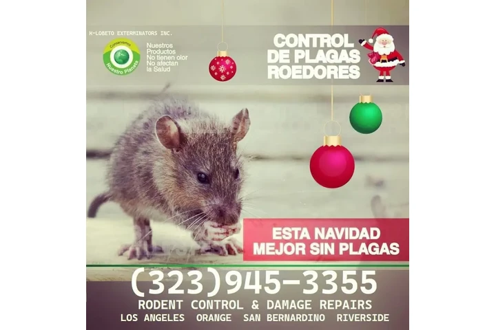 CHRISTMAS FUMIGATIONS 2025🎅 image 10