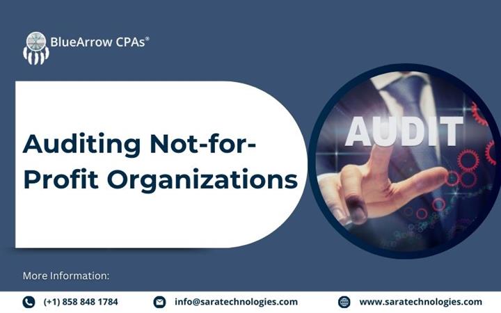 Auditing not for profit org. image 1