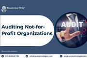 Auditing not for profit org. en San Diego